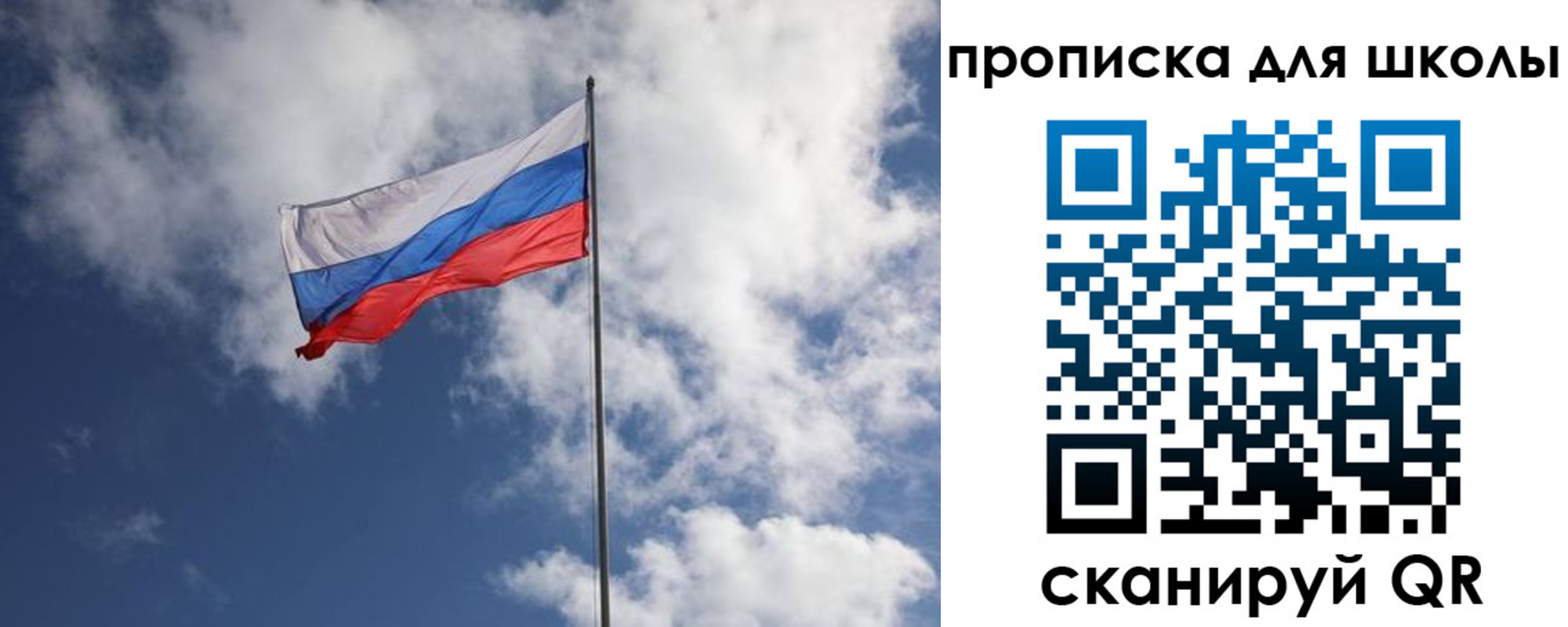 прописка поиск в Светлогорске